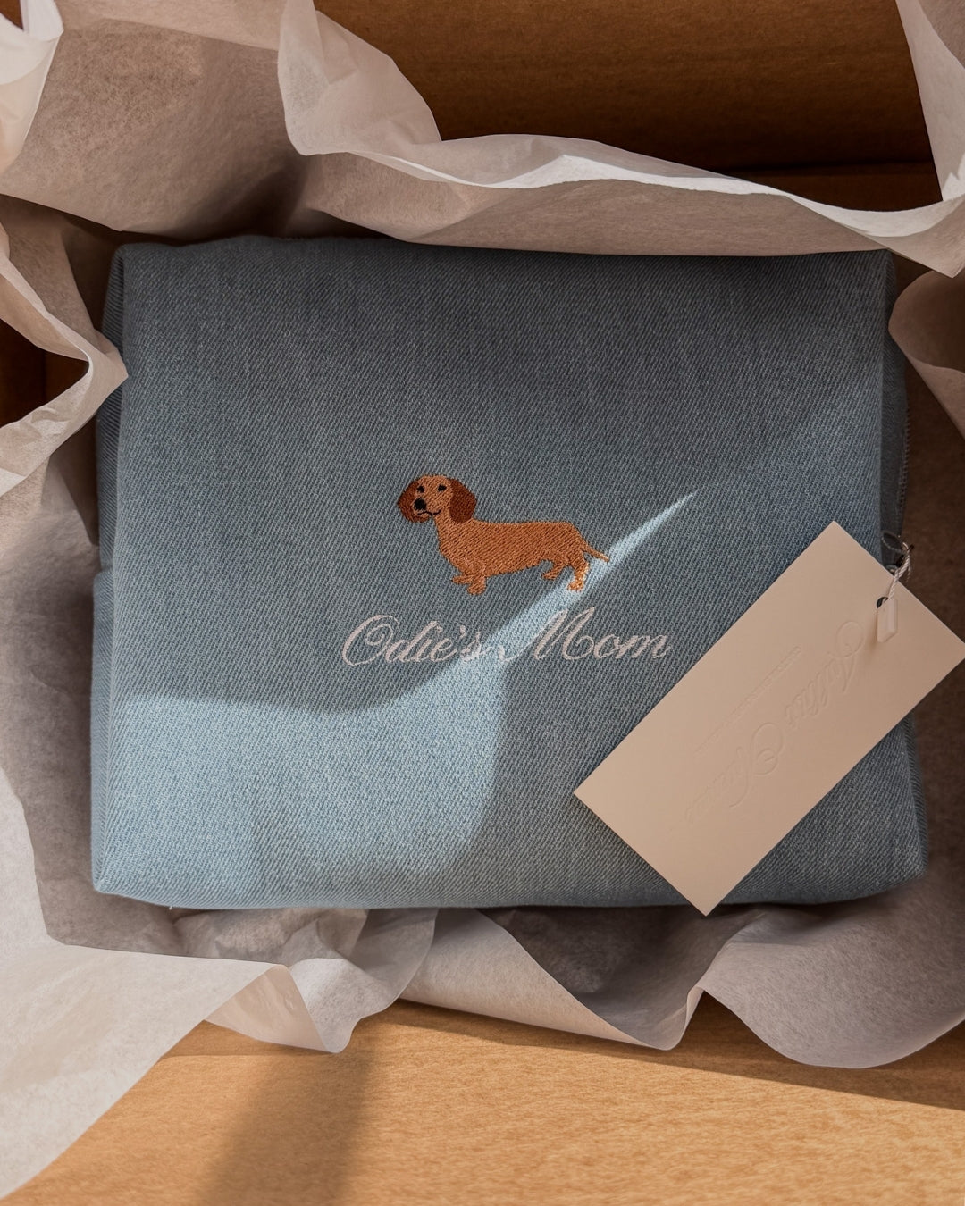 Dog Parent Pouch