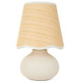 Woven Shade Ceramic Lamp